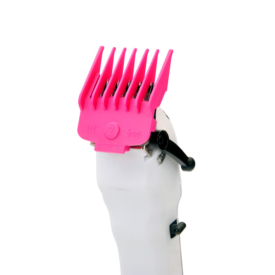 2_1fc8e69a-e7b4-4055-ad16-2bf70aacb3f9