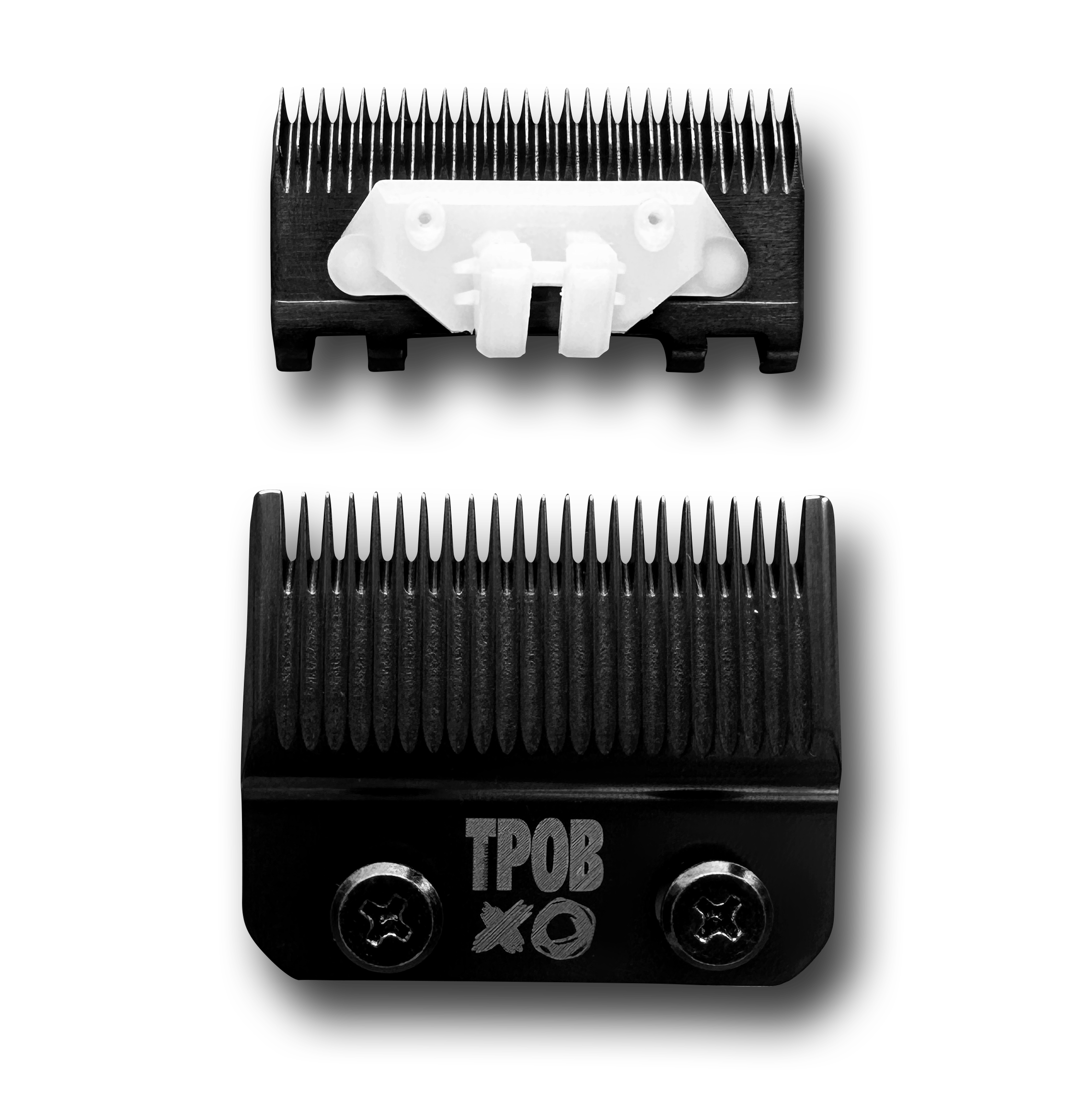 72FE538D-6081-4798-8B89-A26D8E482AED_copy